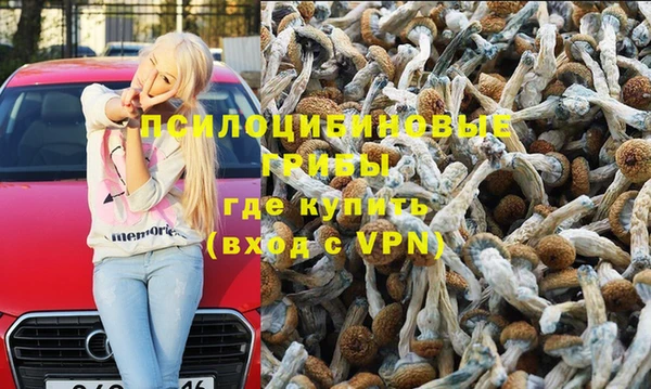 гашик Белоозёрский