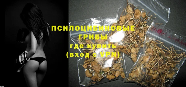 экстази Белокуриха
